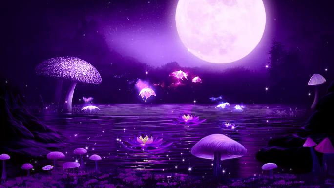 4K紫色梦幻唯美蘑菇视频