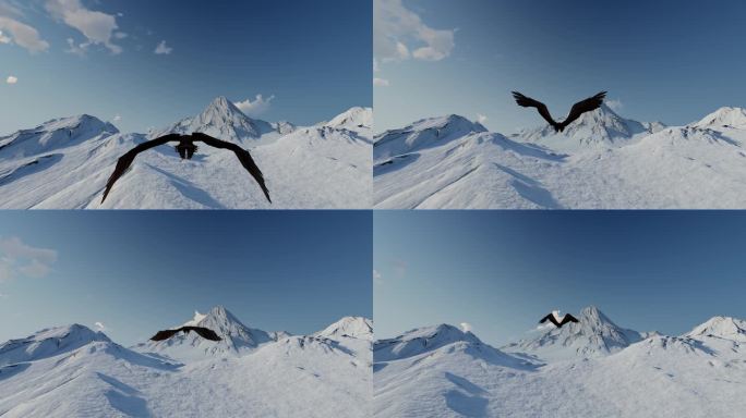 雄鹰老鹰飞过雪山山峰雄伟壮观大气开场片头