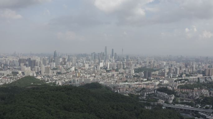 广东省广州白云山顶航拍森林茂盛树林风吹