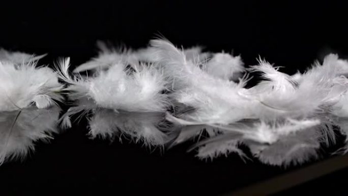 白色羽毛在黑色镜面上旋转，其他羽毛以慢动作落下。