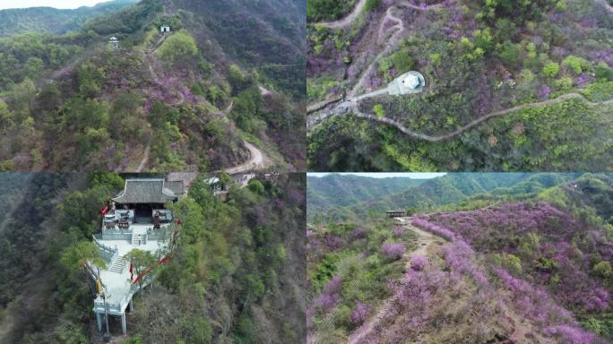 浙江兰溪转轮岩风景区紫荆花风光航拍