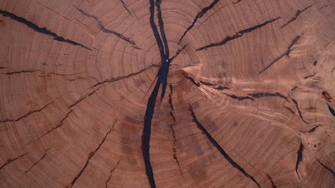 木质表面
