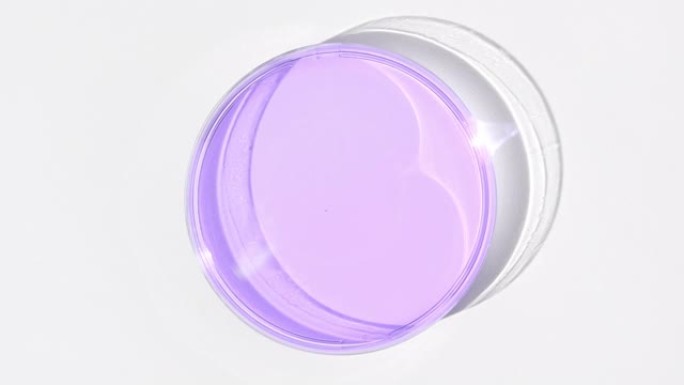 玻璃上的紫色凝胶被白色背景上的阴影覆盖