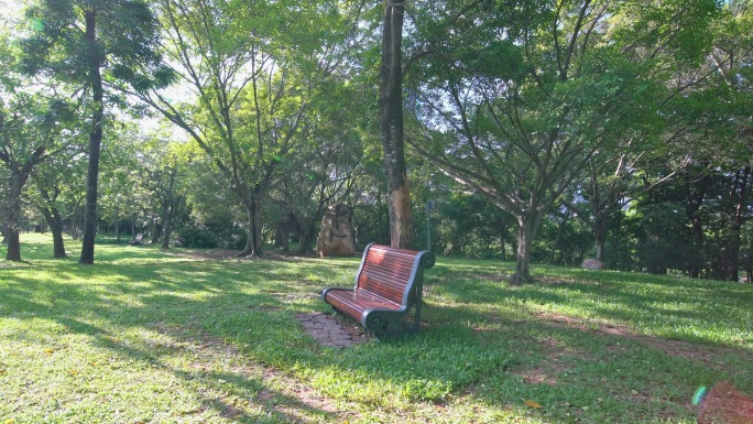 莲花山公园长椅