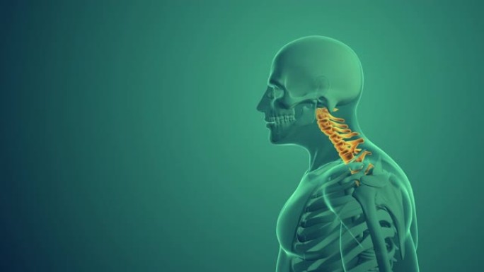 颈椎姿势综合征医学背景