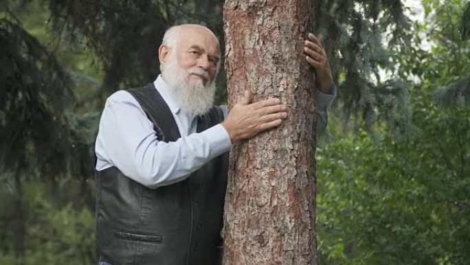 英俊的高级男子拥抱树干的肖像
