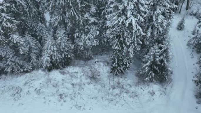 空中俯视无人机拍摄了斯洛伐克塔特拉山脉积雪覆盖的松树和云杉森林。自然与生态概念形象中的美。