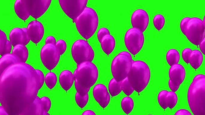 从下往上飞来的紫色气球隔离在绿屏背景上，4k视频元素