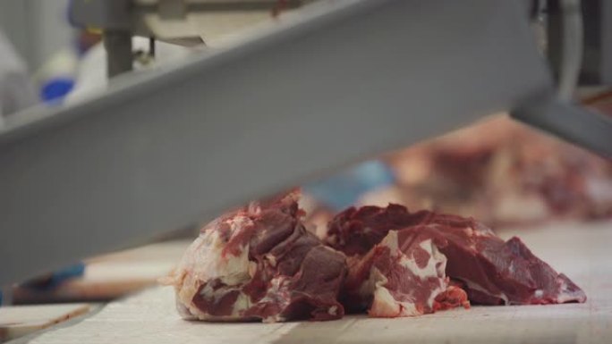 动物尸体加工过程中的肉沿着传送带移动