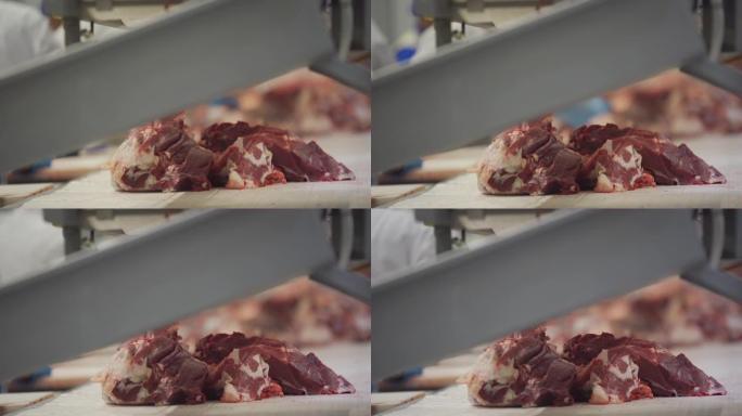 动物尸体加工过程中的肉沿着传送带移动