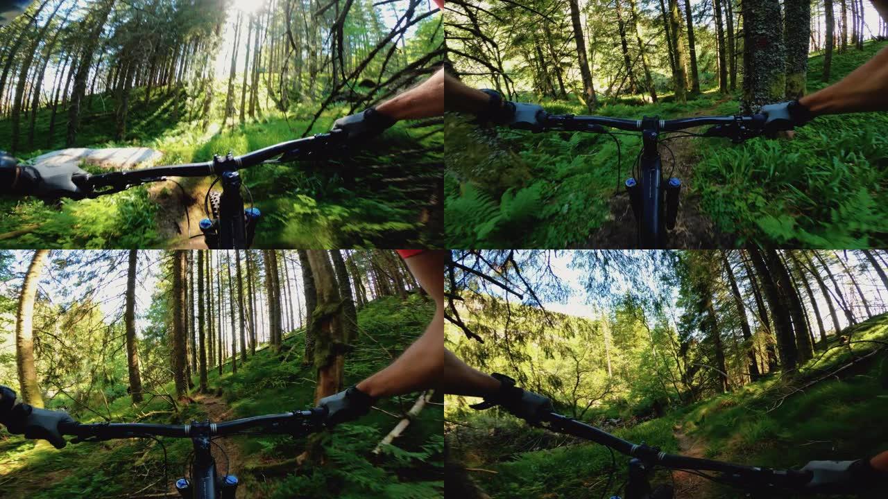 山地车在森林里户外骑自行车
