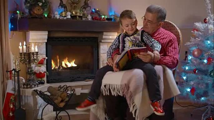 爷爷和孙子看书