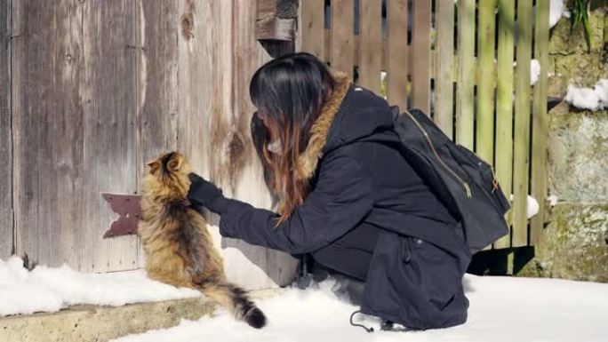 4K亚洲女人在寒假日本旅游小村庄玩流浪猫。