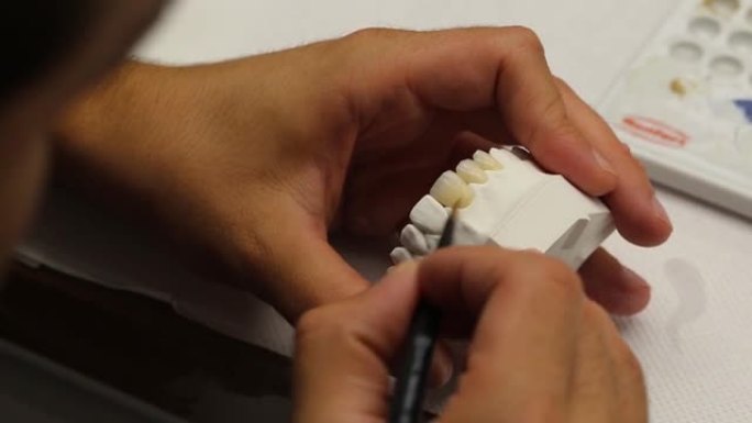 牙科模型生产专家用刷子给人造牙齿着色