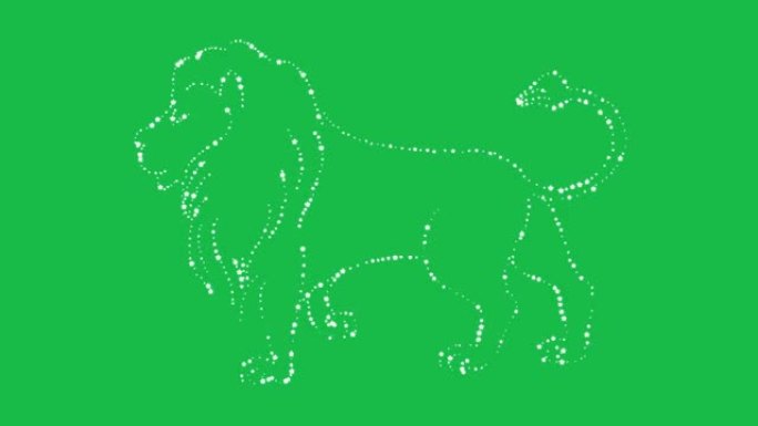 绿色屏幕背景上闪烁的狮子运动图形效果。