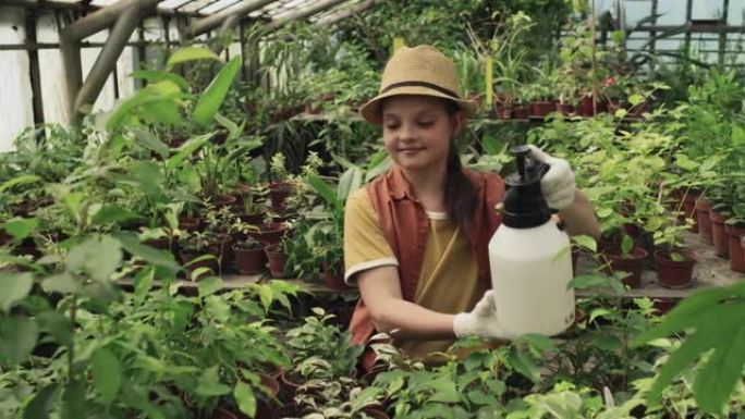 十几岁的女孩在温室里喷洒植物