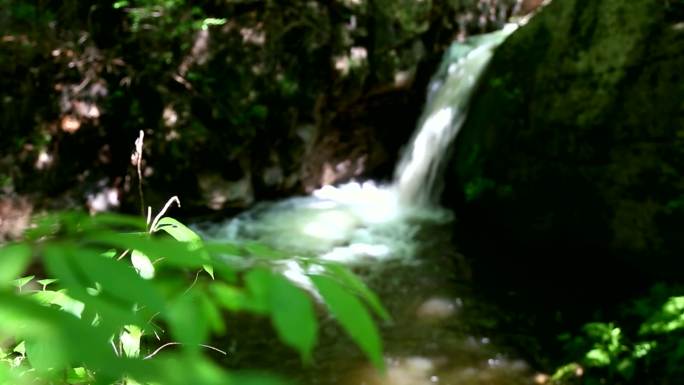 山间 流水 小溪 春夏素材