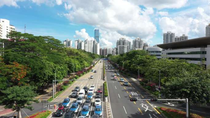 深圳福田城区道路