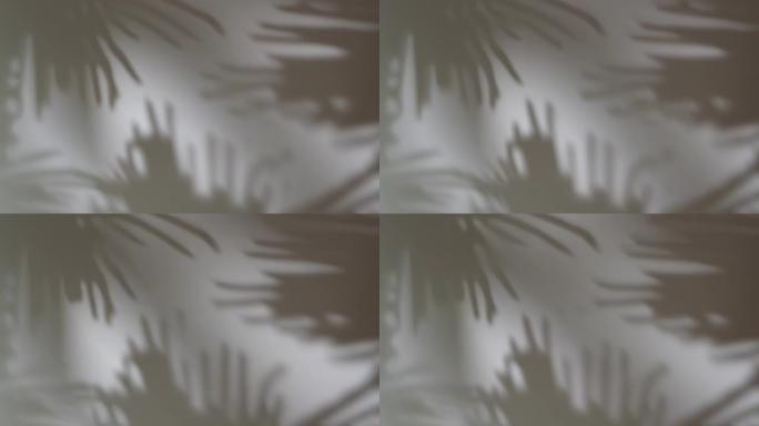 抽象树影在墙上移动