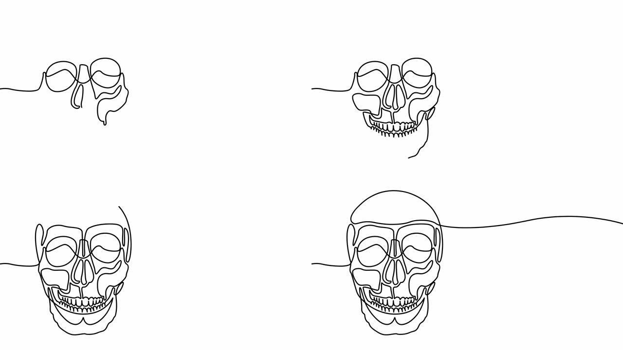 绘制在一条线上的人类头骨，在白色背景上程式化