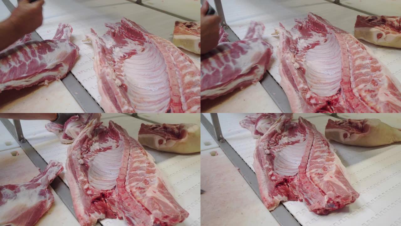 从骨头中分离出纸浆并将其送至传送带。肉的工厂。