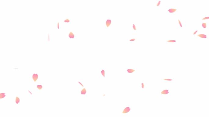 动画与跳舞的樱花花瓣的阿尔法