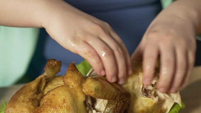 饮食失调的胖女人的手撕扯整个烤鸡的肉