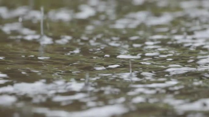 落到地面的雨水飞溅不会完全吸收并形成水坑