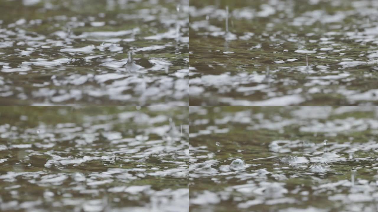 落到地面的雨水飞溅不会完全吸收并形成水坑