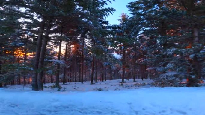 黄昏时在雪山路上行驶。从乘客座位上看。