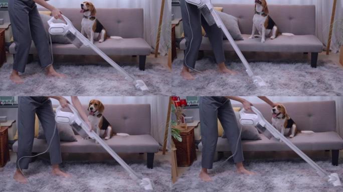 年轻女子在家打扫客厅的狗毛。