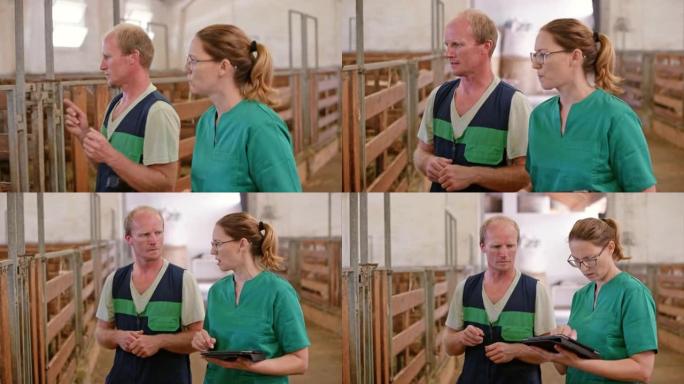 男看管人和女兽医在谷仓里散步聊天
