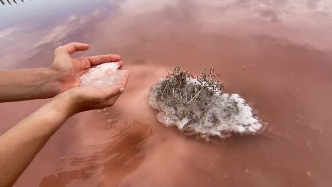 女人的手从粉红湖底探索独特的盐。嗜盐微藻盐藻给出了湖泊的原始颜色。粉红盐用于美容和民间医学。
