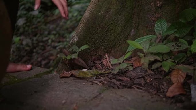 一名亚裔男子生气，当时他手里拿着并挤压干叶