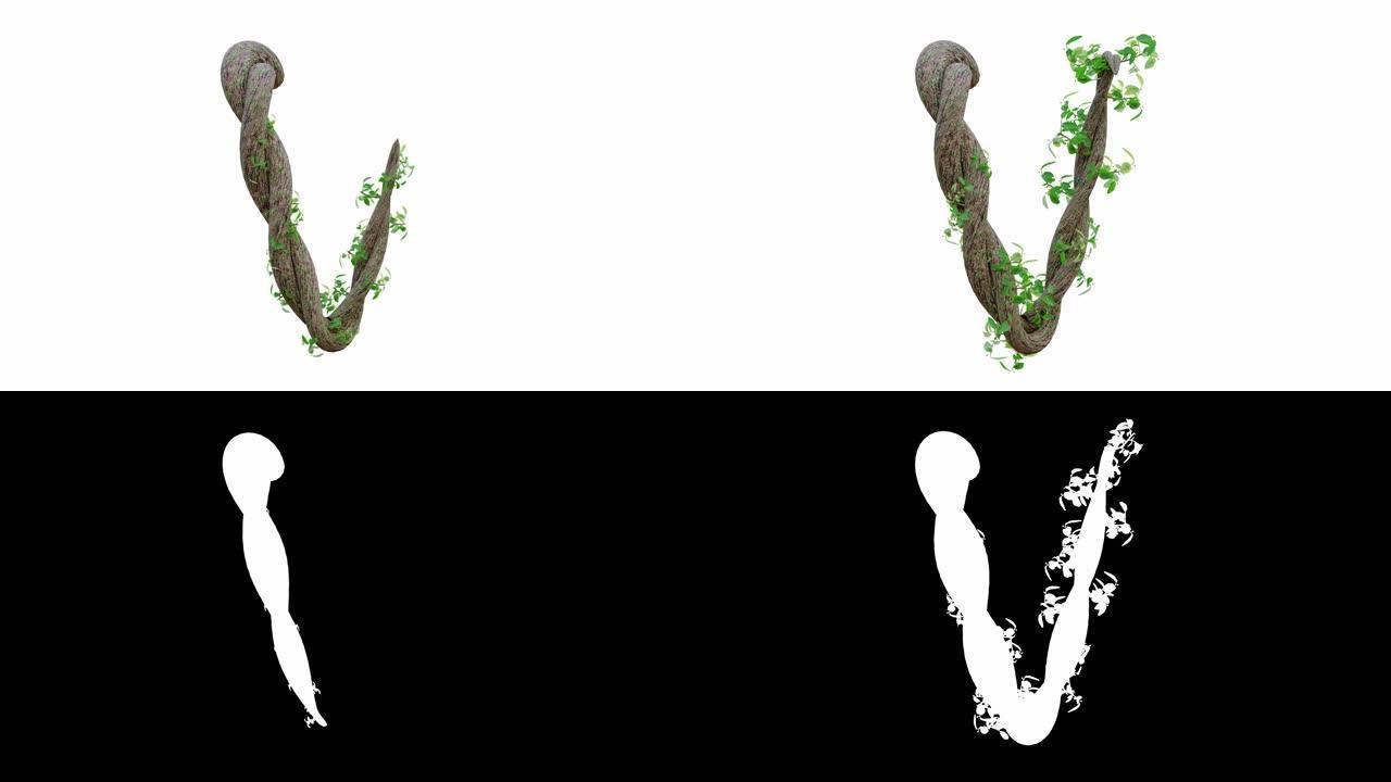 树木生长或藤蔓的形状为英文文本。字母字体V。
