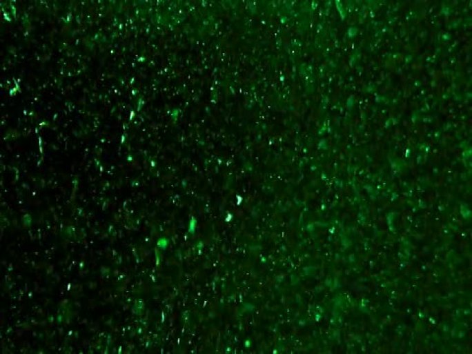 漂浮在液体中的绿色颗粒-辐射