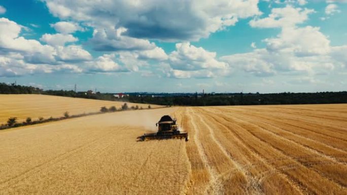 联合收割机收割小麦的鸟瞰图。日落时美丽的麦田。联合收割机在大麦田上工作。