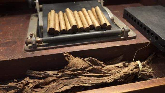 干燥的烟叶和一堆新鲜的手卷多米尼加雪茄放在木桌上。世界上最好的雪茄