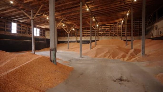 谷物作物在机库中干燥