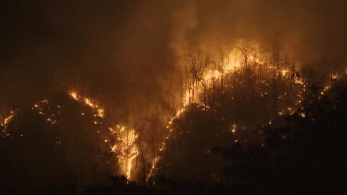 气候变化，人为造成的热带森林野火灾害，东南亚环境破坏。