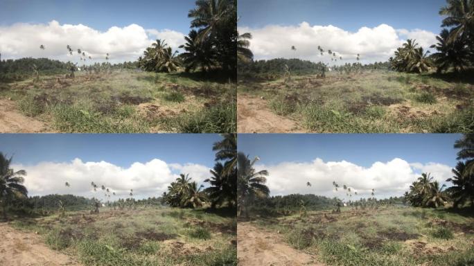 热带太平洋岛屿后路的缓慢水平移动视图，在火场燃烧，在低云和蓝天的土路上远处有椰子和香蕉树
