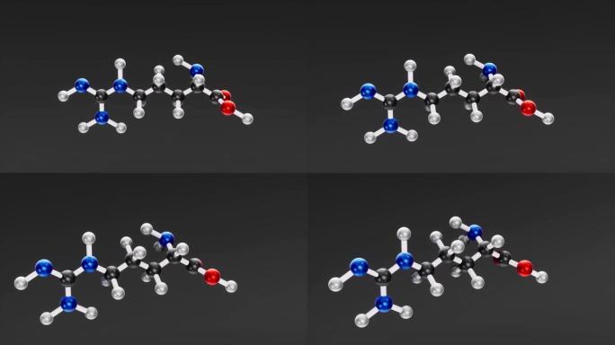 精氨酸分子的结构化学式。