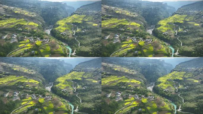 湖北恩施大峡谷田凤坪油菜花海航拍4K