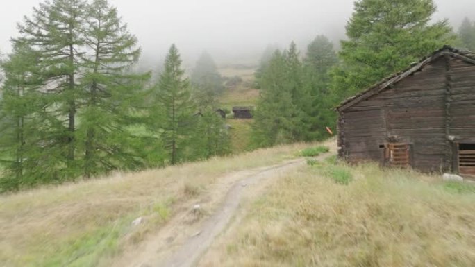 空中无人机拍摄了山区小山上木屋附近的松树