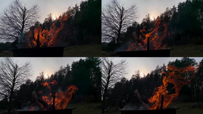 日落时的壁炉柴火篝火森林