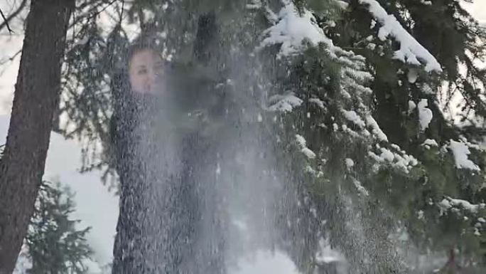 年轻可爱的女孩摇着一棵白雪皑皑的冷杉树枝