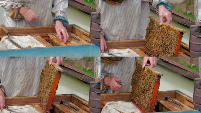 养蜂人从蜂巢中获取框架