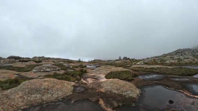 徒步旅行马达加斯加安德林吉特拉国家公园，迷雾和迷雾山景观，在薄雾中走向高峰。行走在安德林吉特拉山脉的