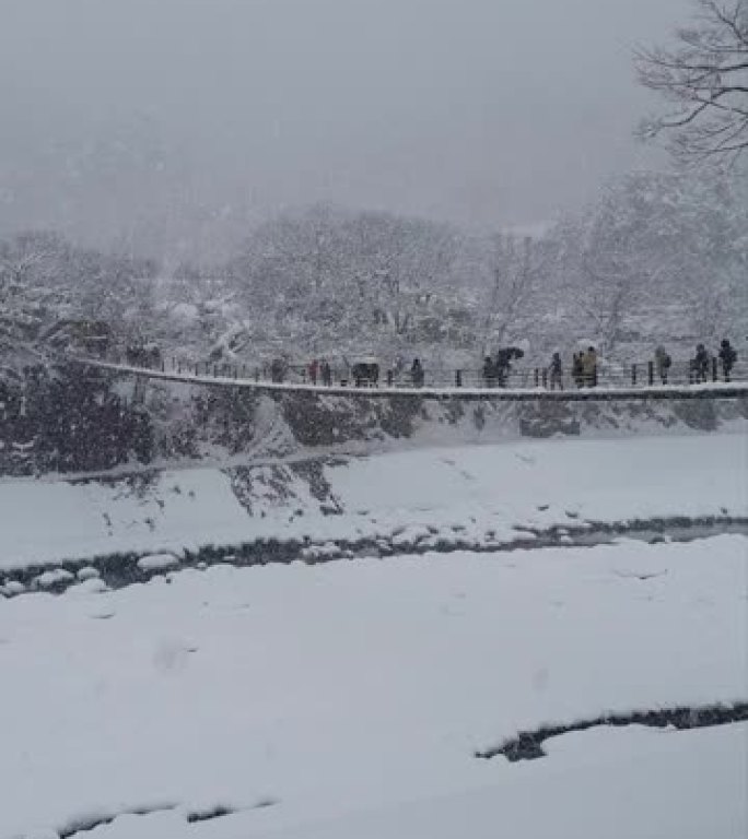 日本冬季白雪茂密的白川村