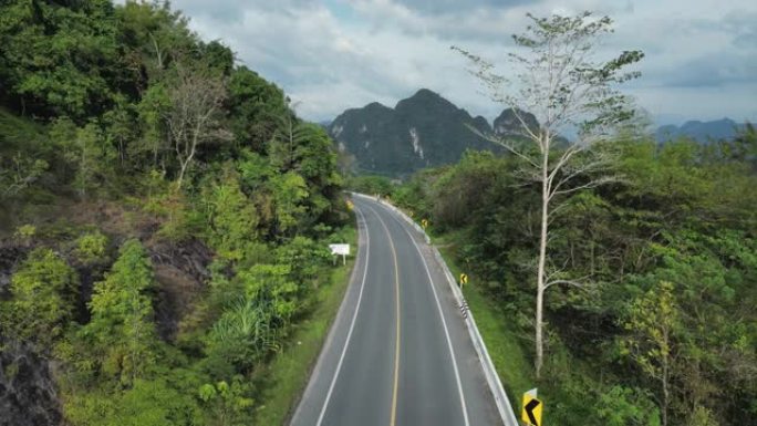 通过棕榈油树种植园的道路鸟瞰图